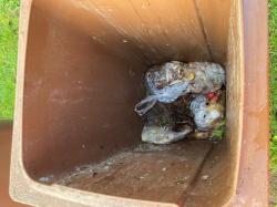 Bild: Bioabfall - M&uuml;lltonnen&uuml;berpr&uuml;fung